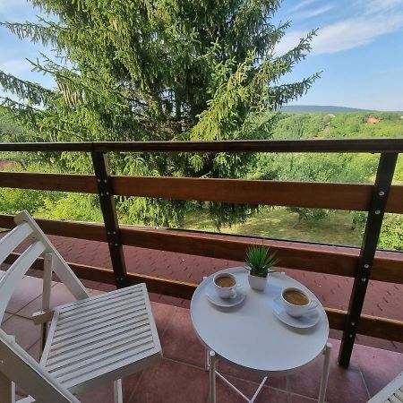 Вилла Hoopovo House Fruska Gora Irig Экстерьер фото