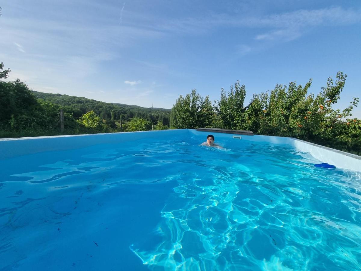 Вилла Hoopovo House Fruska Gora Irig Экстерьер фото