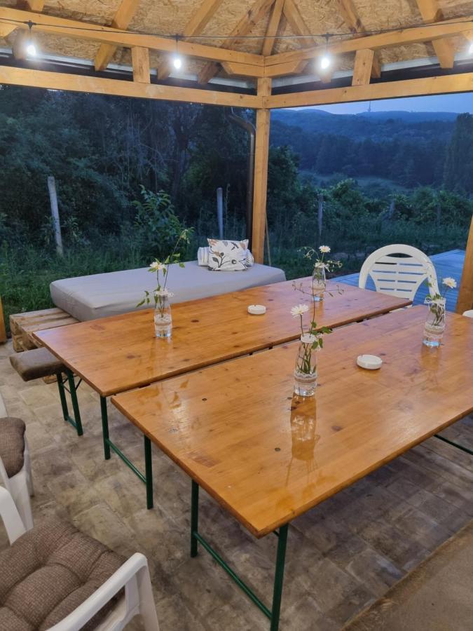 Вилла Hoopovo House Fruska Gora Irig Экстерьер фото