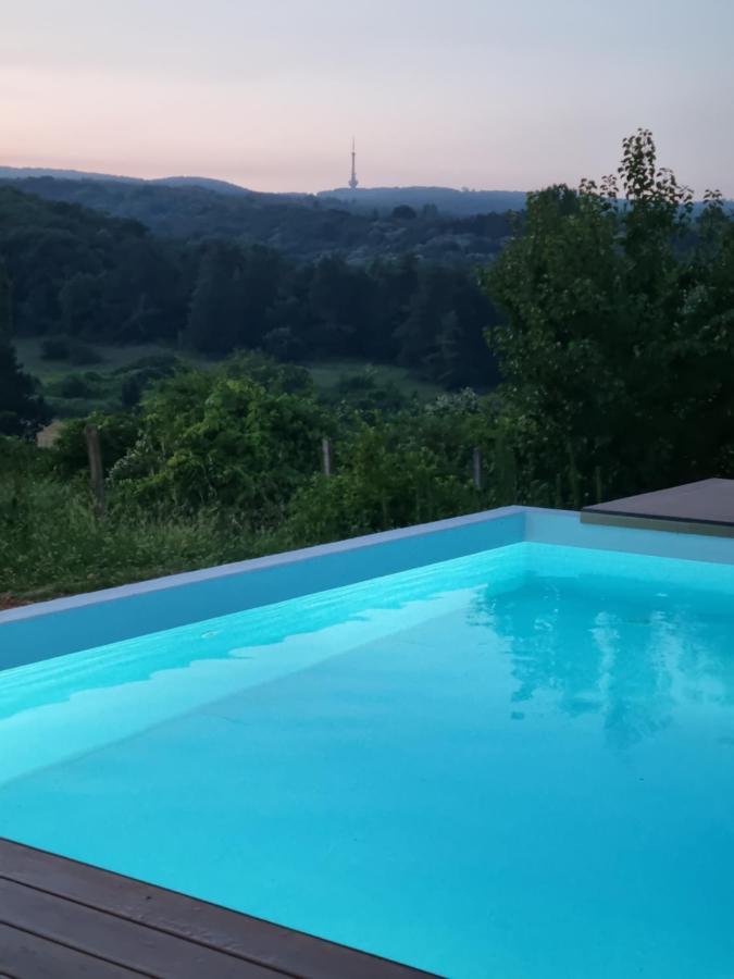Вилла Hoopovo House Fruska Gora Irig Экстерьер фото