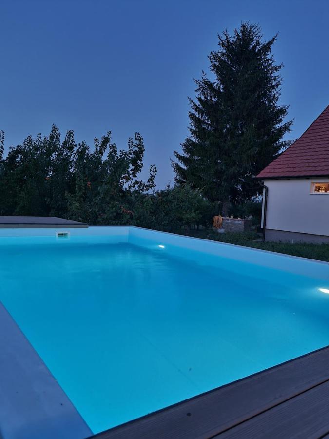 Вилла Hoopovo House Fruska Gora Irig Экстерьер фото