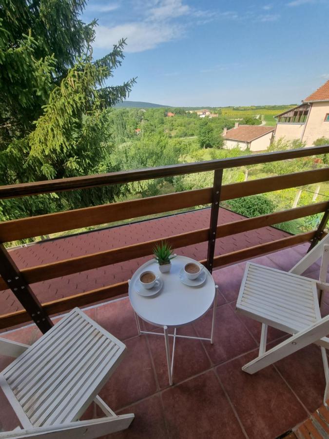 Вилла Hoopovo House Fruska Gora Irig Экстерьер фото