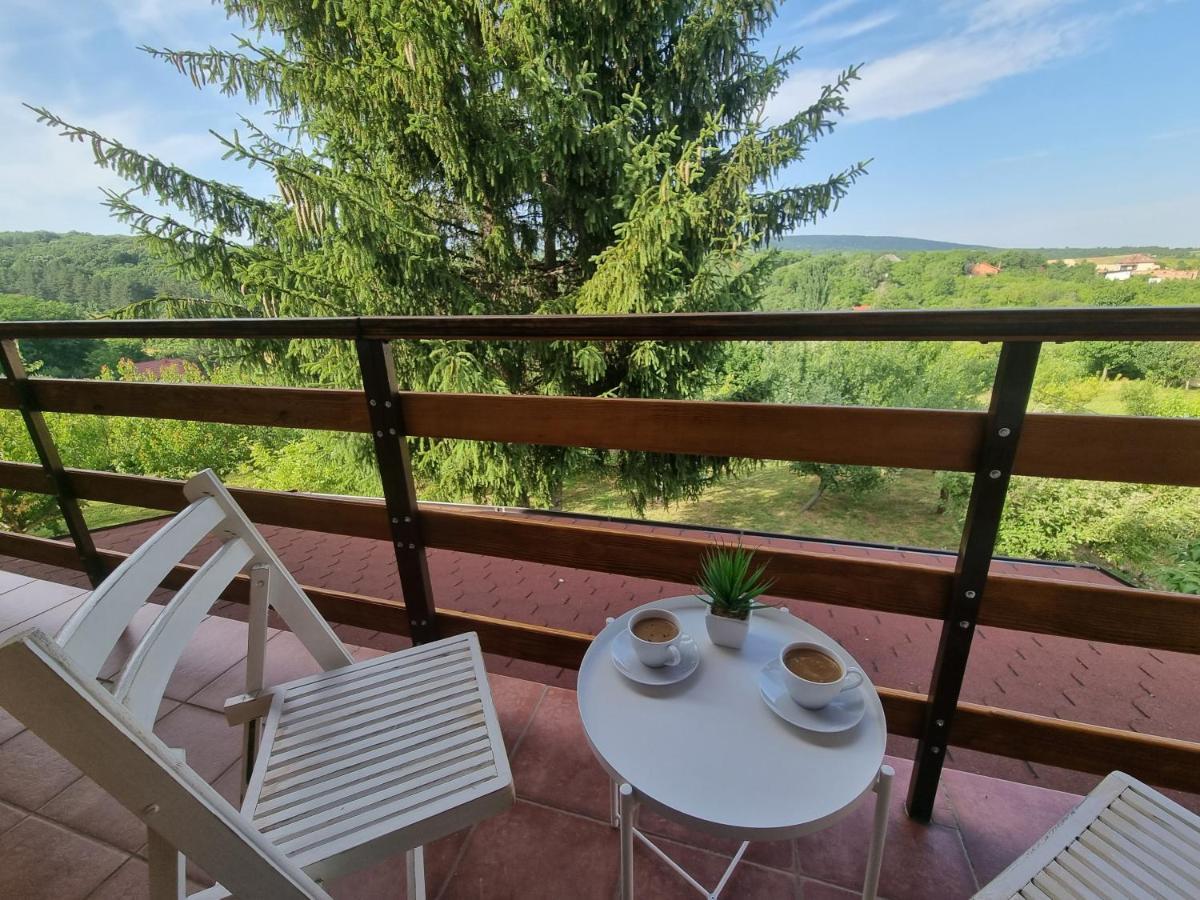 Вилла Hoopovo House Fruska Gora Irig Экстерьер фото