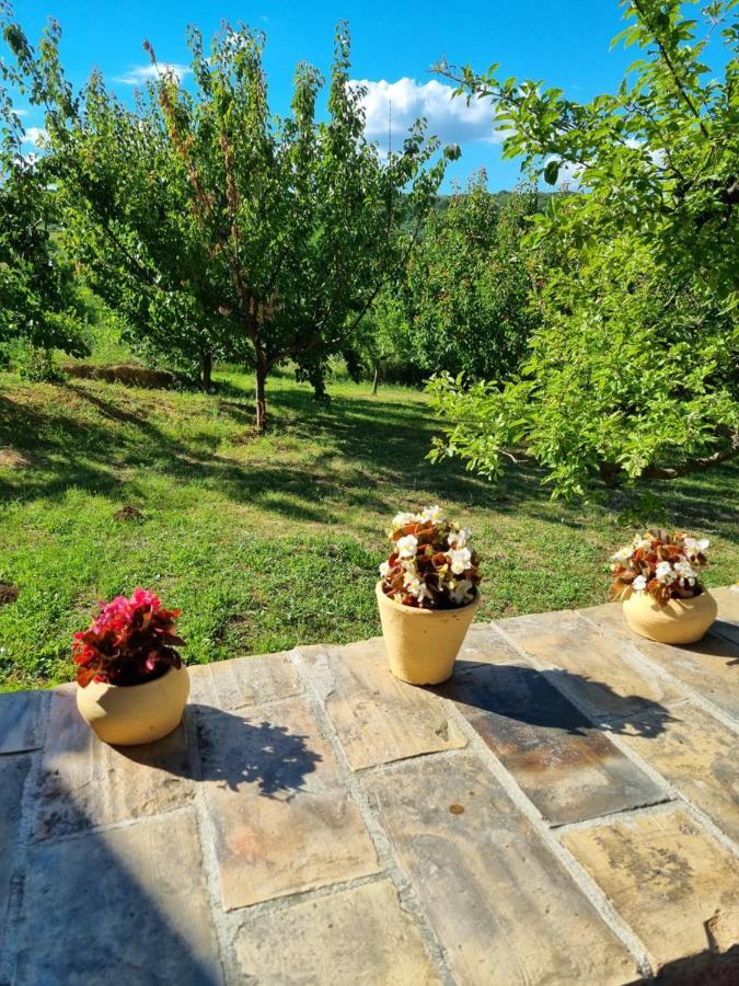 Вилла Hoopovo House Fruska Gora Irig Экстерьер фото