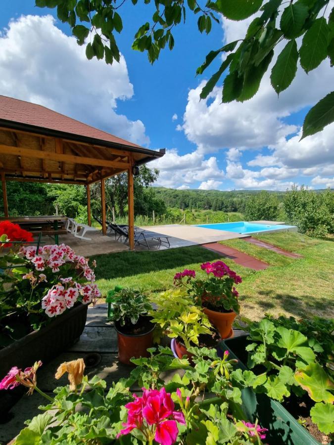 Вилла Hoopovo House Fruska Gora Irig Экстерьер фото